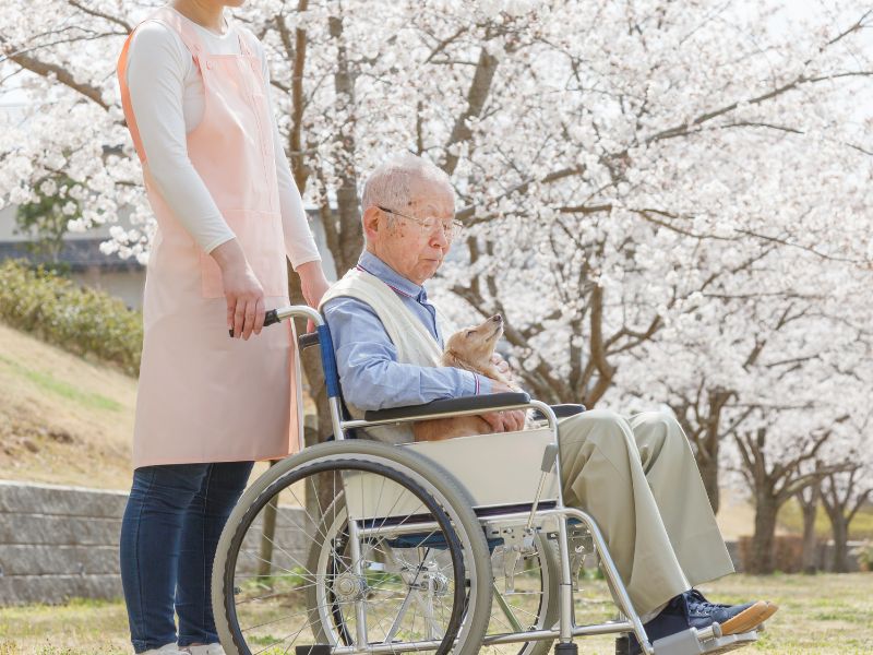 幸せな最期を迎えるために　飼い主とペットをサポートするペット介護士