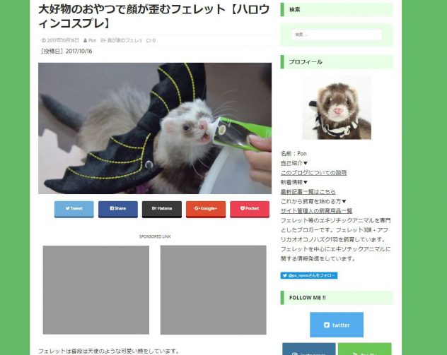 大好物のおやつで顔が歪むフェレット【ハロウィンコスプレ】