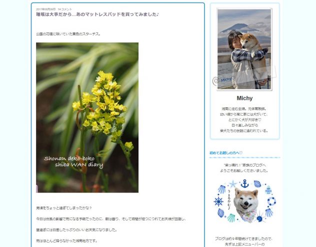 睡眠は大事だから…あのマットレスパッドを買ってみました♪