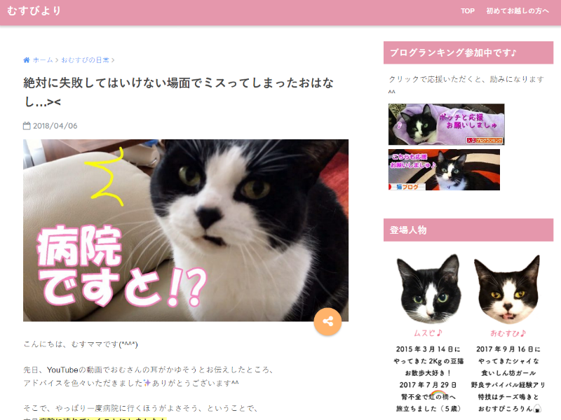 やっぱり猫って癒やされる♪あしたの介護ワークも頑張れそうな 
