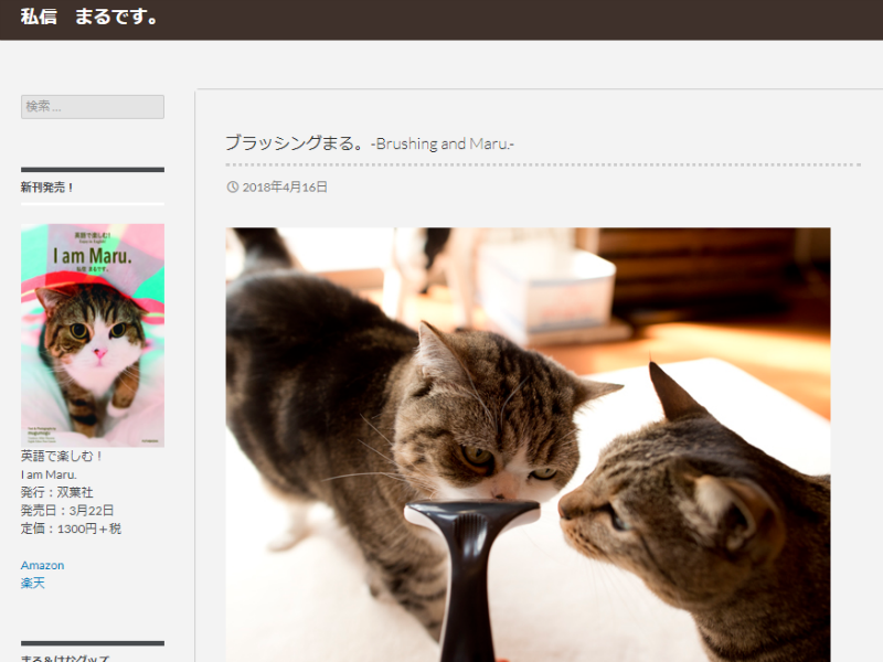 やっぱり猫って癒やされる♪あしたの介護ワークも頑張れそうな