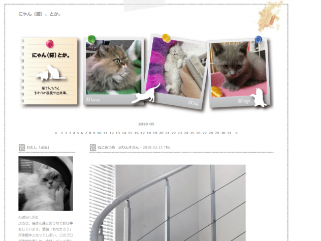 やっぱり猫って癒やされる あしたの介護ワークも頑張れそうな ただただほっこりする猫ブログ特集