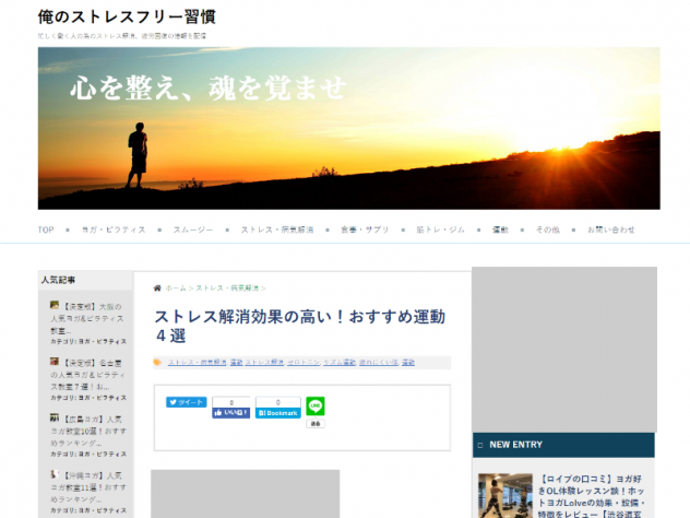 俺のストレスフリー習慣