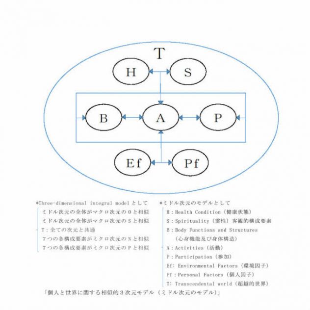 ミドル次元のモデル2