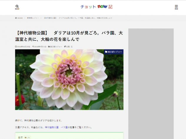 チョットnow記