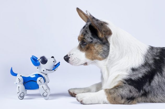 動物ロボットイメージTOP