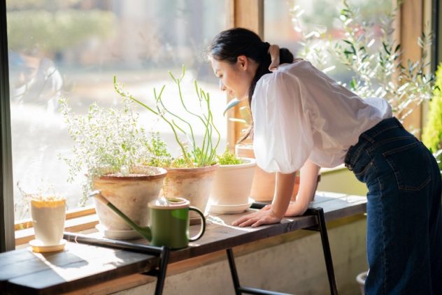 介護サービス利用者さんとの話題にもピッタリ 観たり食べたり育てたり楽しみ方いろいろな植物栽培集 介護をもっと好きになる情報サイト きらッコノート