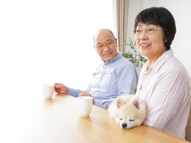 介護施設で動物を飼うのは効果がある？