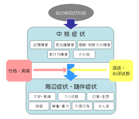 認知症のメカニズムの図解